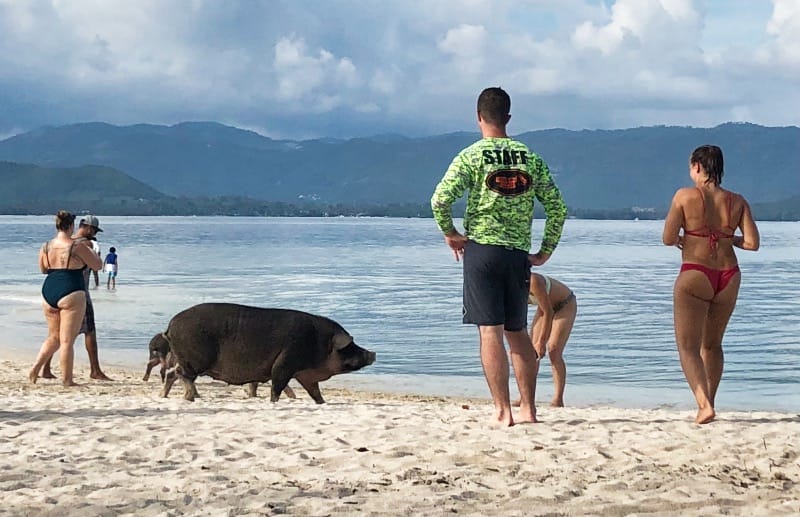 Private yacht charter to Koh Madsum (Pig Island, Koh Mutsum), Koh Samui Thailand